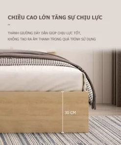 Giường Ngủ Hiện Đại – GP240