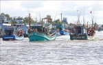 Thủ tướng Chính phủ yêu cầu xử lý dứt điểm tàu cá ’03 không’